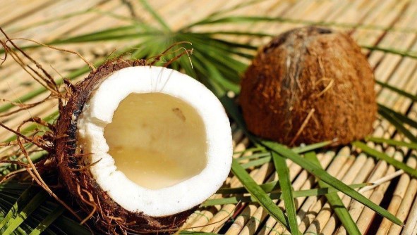 lo que no sabias de las propiedades del coco