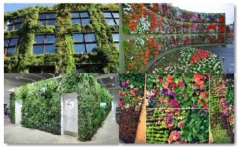 jardines verticales para evitar la contaminacion